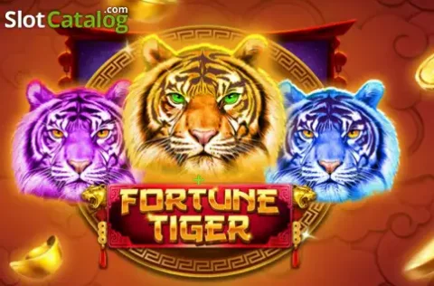 Jeetbangla sports event odds and fixtures